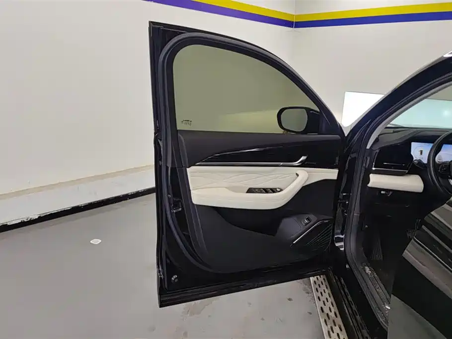 Geely Auto Star Ray L 2023 2.0TD High Power Automatic FWD Flagship Edition 2023 - thumbnail 7