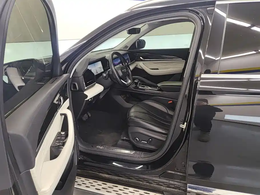 Geely Auto Star Ray L 2023 2.0TD High Power Automatic FWD Flagship Edition 2023 - thumbnail 9