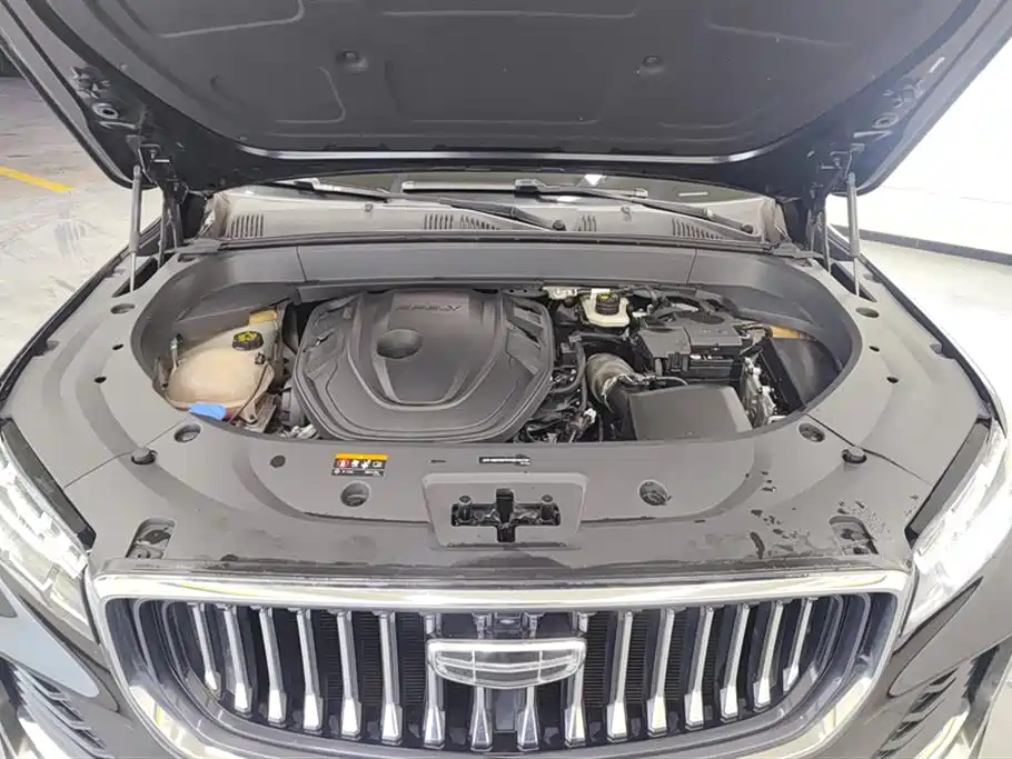 Geely Auto Star Ray L 2023 2.0TD High Power Automatic FWD Flagship Edition 2023 - thumbnail 10