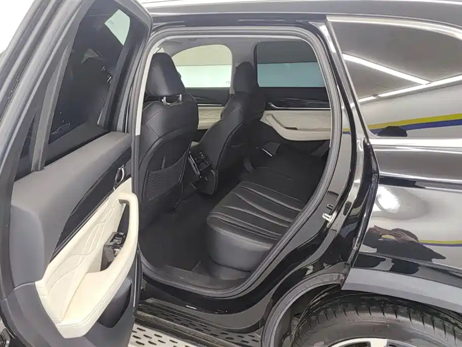 Geely Auto Star Ray L 2023 2.0TD High Power Automatic FWD Flagship Edition 2023 - thumbnail 11