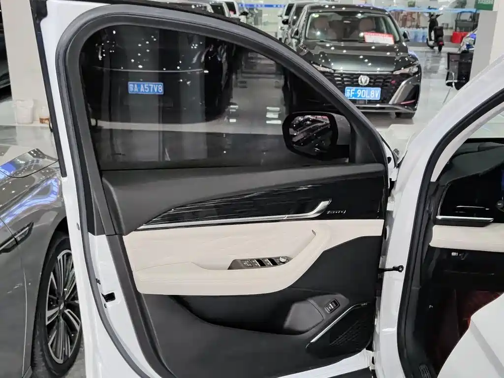 Geely Auto Star Ray L 2023 2.0TD High Power Automatic FWD Flagship 2023 - thumbnail 7