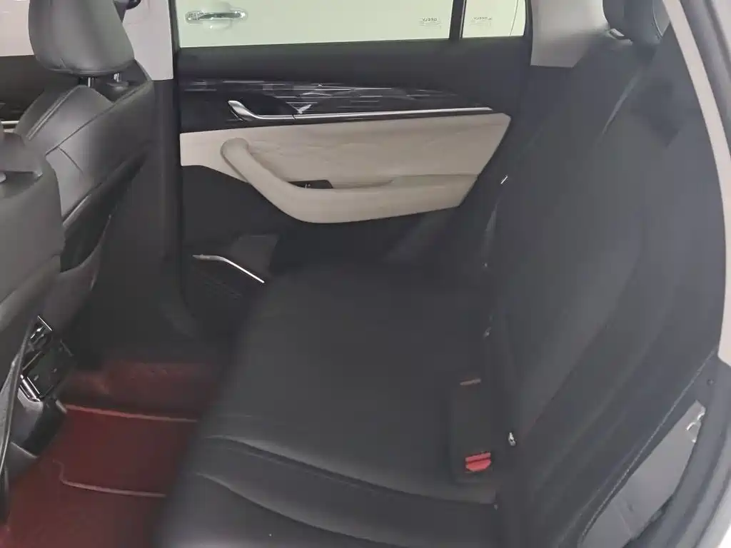 Geely Auto Star Ray L 2023 2.0TD High Power Automatic FWD Flagship 2023 - thumbnail 10