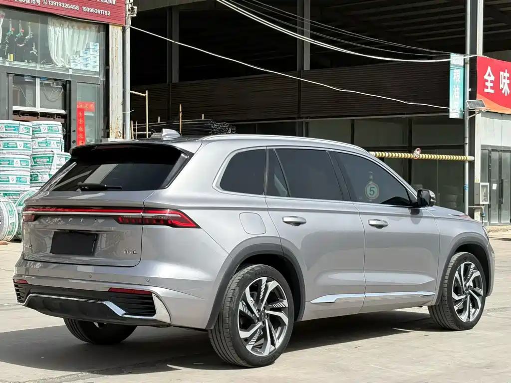 Geely Auto Star Ray L 2023 2.0TD High Power Automatic FWD Flagship 2023 - thumbnail 6