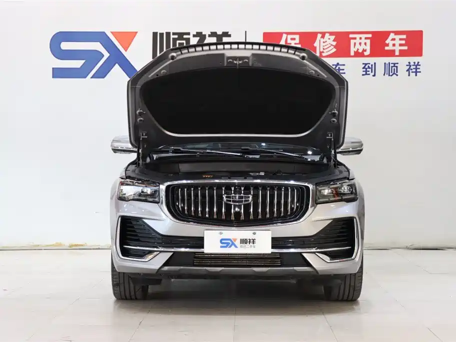 Geely Auto Star Ray L 2023 2.0TD High Power Automatic FWD Flagship 2023 - thumbnail 19
