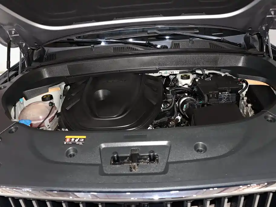 Geely Auto Star Ray L 2023 2.0TD High Power Automatic FWD Flagship 2023 - thumbnail 20
