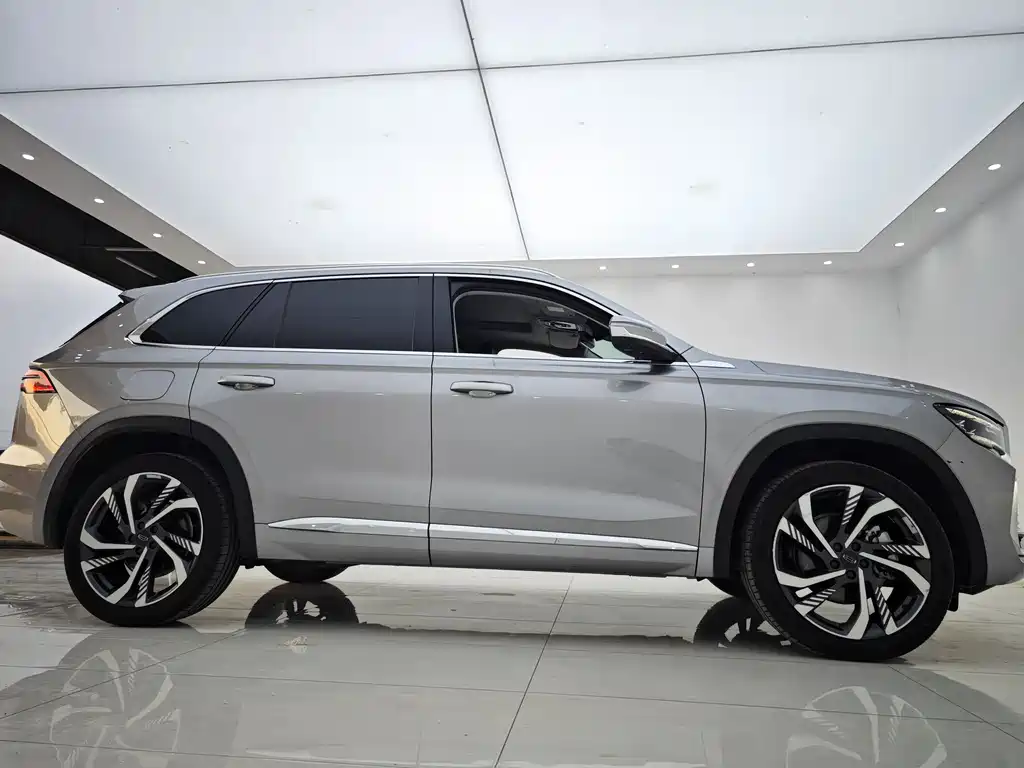 Geely Auto Star Ray L 2023 2.0TD High Power Automatic FWD Flagship 2024 - thumbnail 25