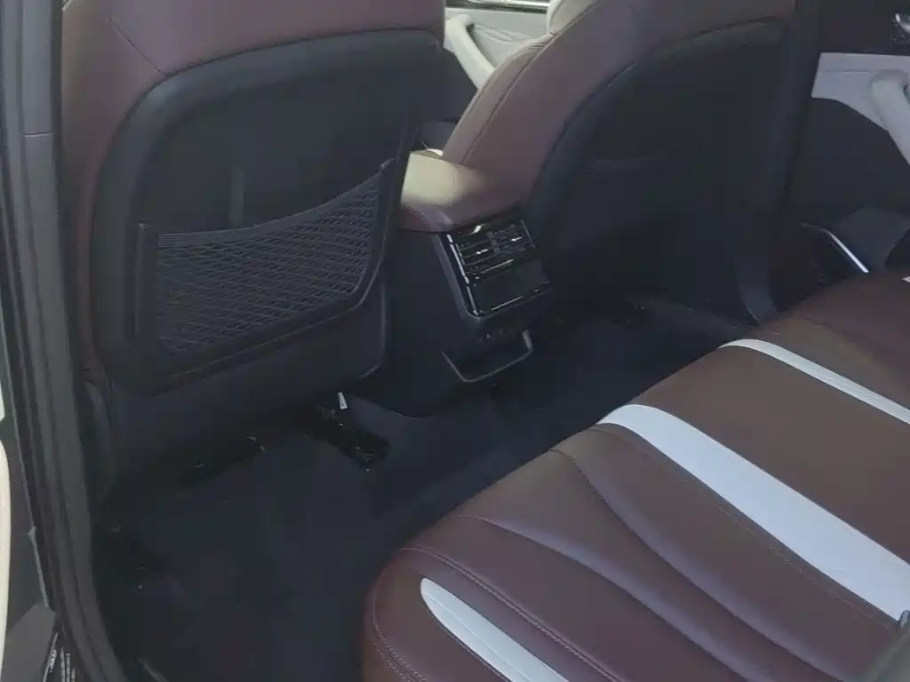 Geely Auto Star Ray L 2023 2.0TD High Power Automatic FWD Flagship 2023 - thumbnail 20