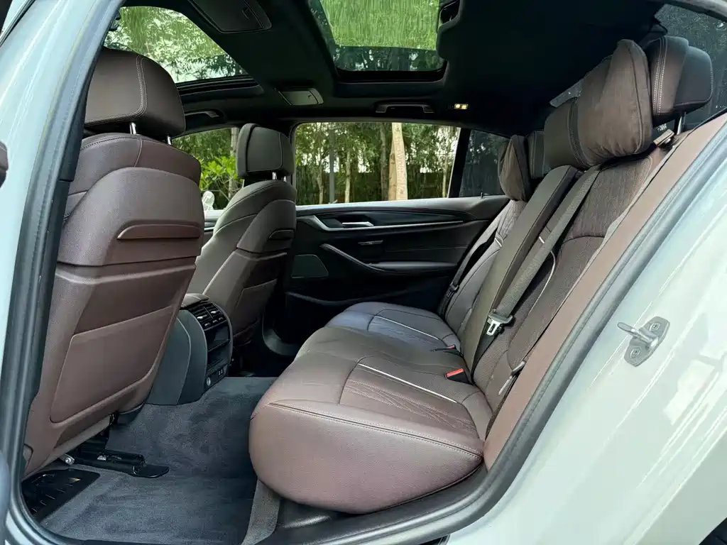 BMW BMW 5 Series New Energy 2021 Model 535Le Pioneer Edition M Sport Package 2021 - thumbnail 17