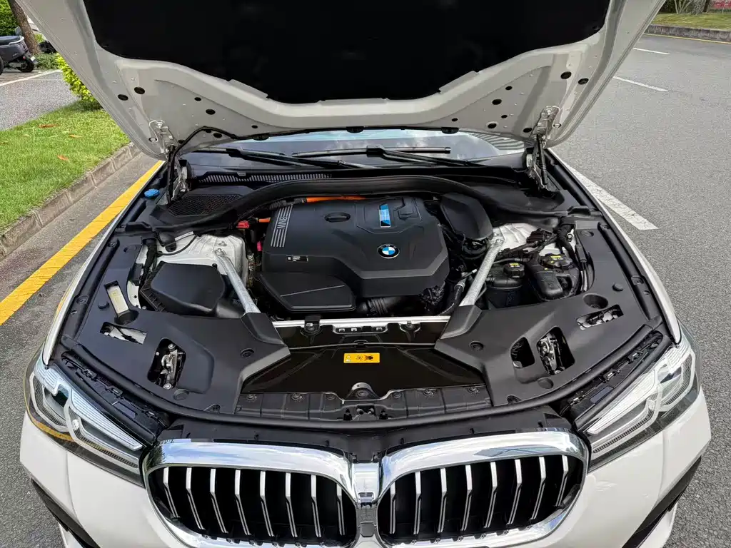 BMW BMW 5 Series New Energy 2021 Model 535Le Pioneer Edition M Sport Package 2021 - thumbnail 20