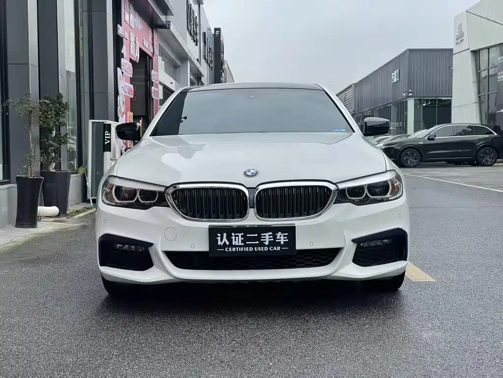BMW BMW 5 Series Import 2019 525i M Sport Package 2019 - thumbnail 2