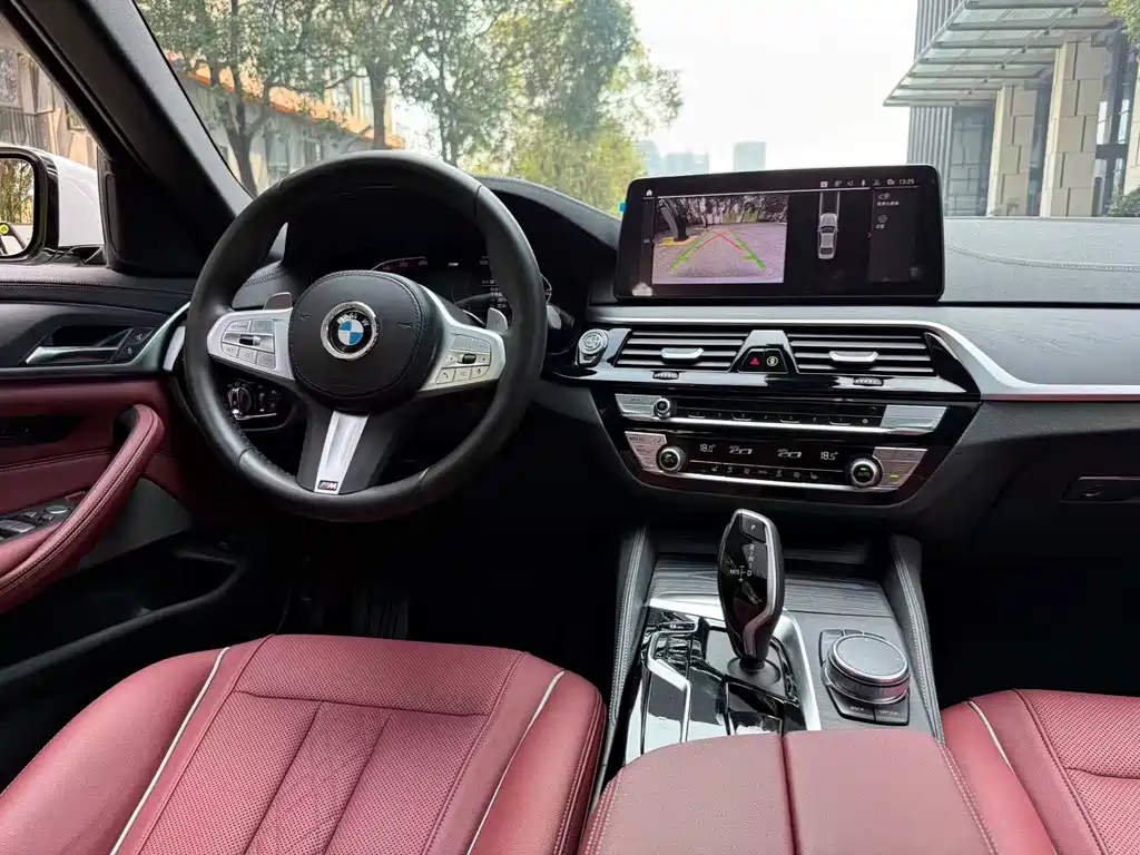BMW BMW 5 Series 2023 530Li Leading Model M Sport Package 2023 - thumbnail 8