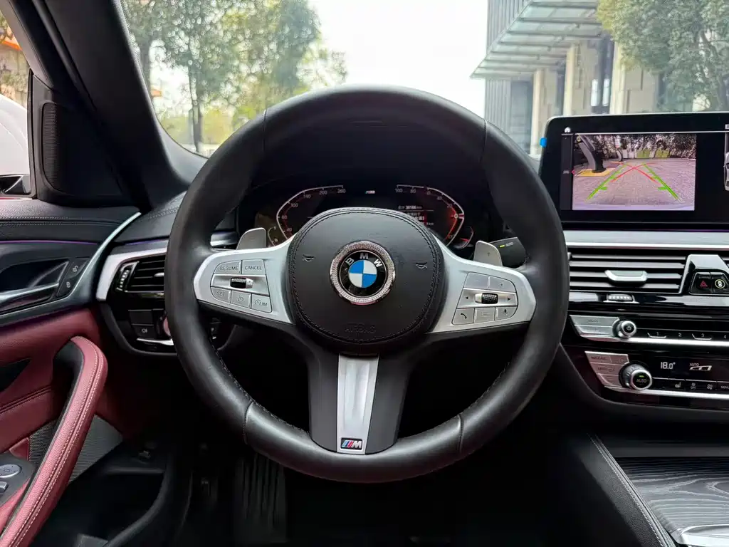 BMW BMW 5 Series 2023 530Li Leading Model M Sport Package 2023 - thumbnail 10