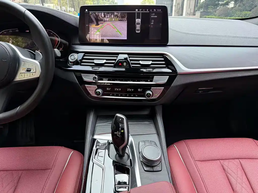 BMW BMW 5 Series 2023 530Li Leading Model M Sport Package 2023 - thumbnail 11