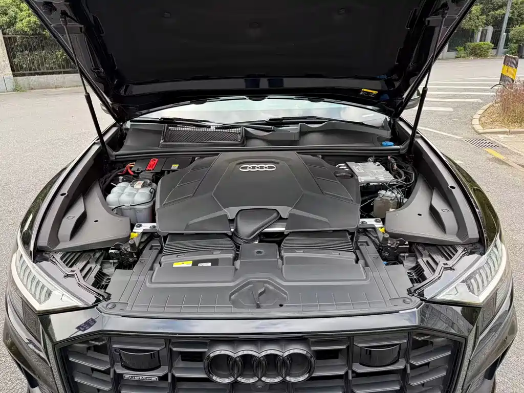 Audi Audi Q8 2021 55 TFSI Night Black Limited Edition 2021 - thumbnail 21