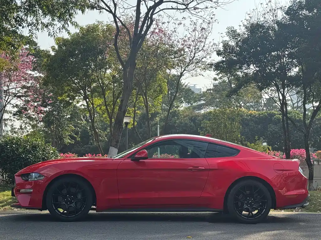 Ford Mustang 2021 2.3T EcoBoost 2021 - thumbnail 7