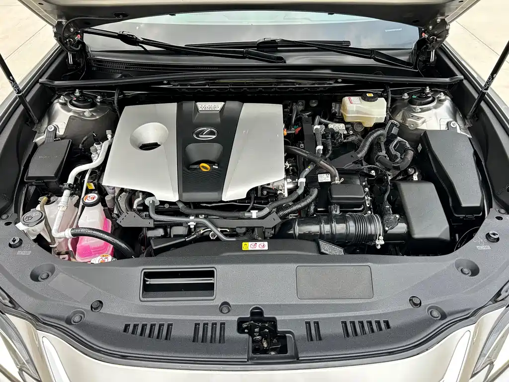 Lexus Lexus ES 300h 2020 Premium Edition 2021 - thumbnail 30