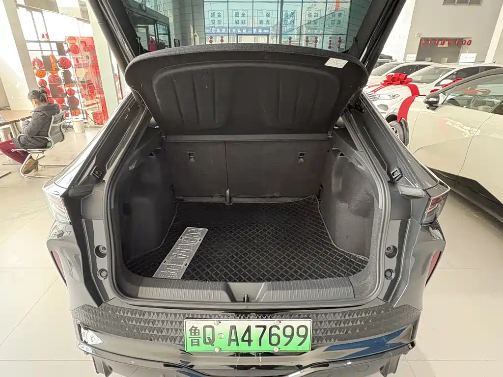 Volkswagen Zhidou 06 2024 Pro Long Range Edition 2025 - thumbnail 9