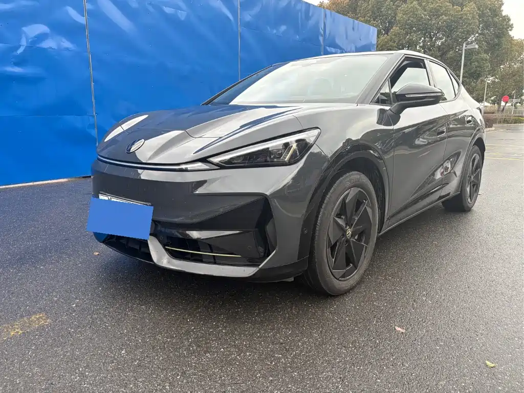 Volkswagen Zhidou 06 2024 Pro Long Range Edition 2024