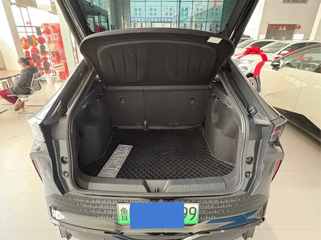 Volkswagen Zhidou 06 2024 Pro Long Range Edition 2025 - thumbnail 10