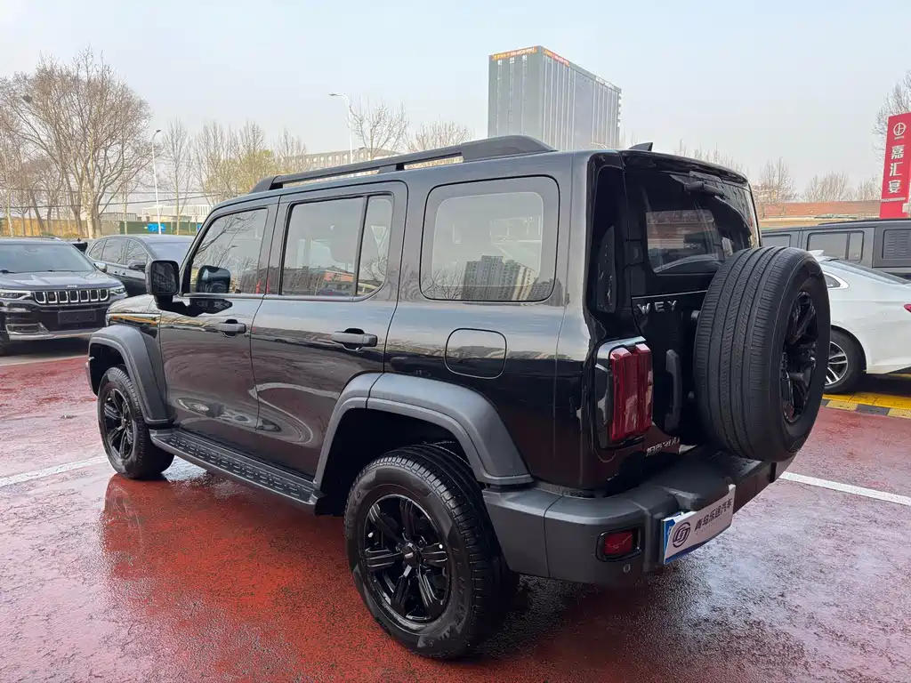 Tank Tank 300 2021 Off-road Edition 2.0T Conqueror 2021 - thumbnail 4