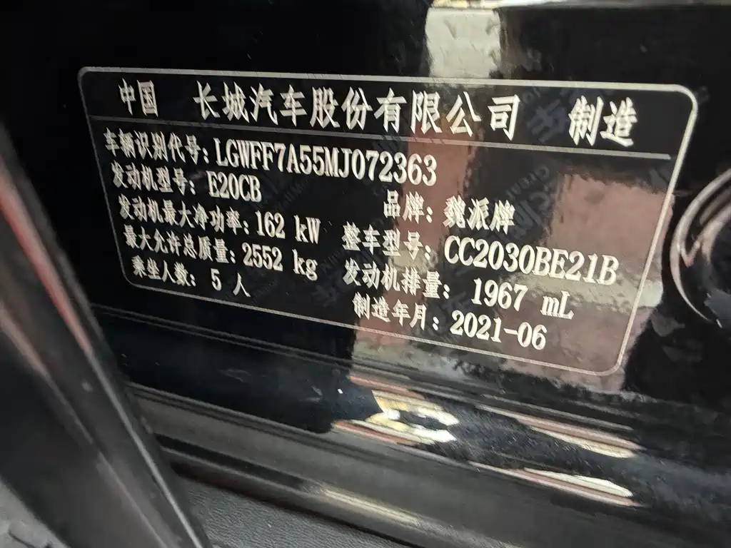 Tank Tank 300 2021 Off-road Edition 2.0T Conqueror 2021 - thumbnail 16