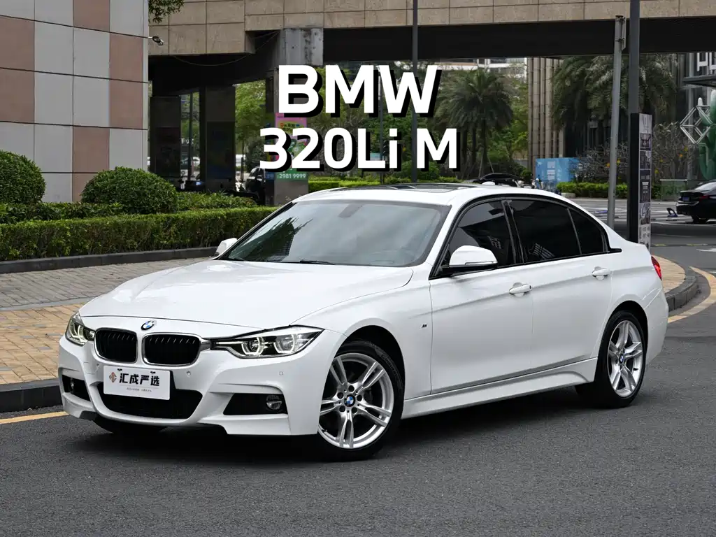 BMW BMW 3 Series 2018 320Li M Sport Package 2018