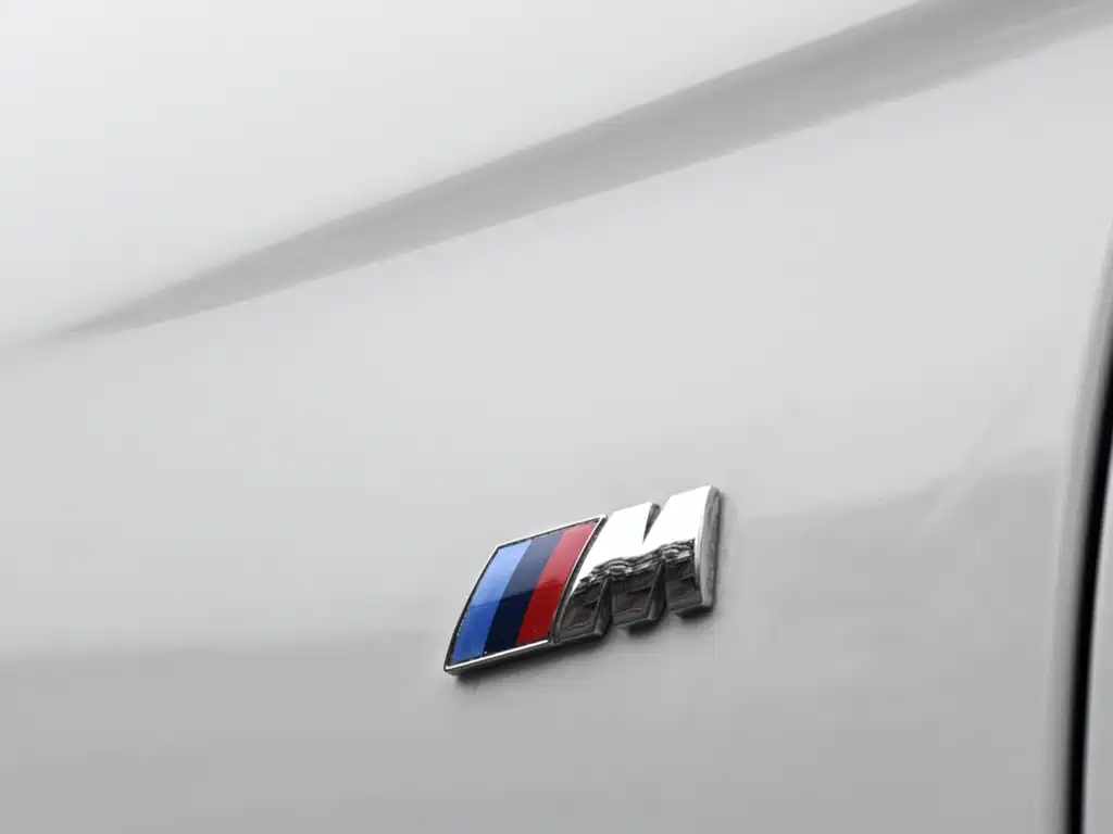 BMW BMW 3 Series 2018 320Li M Sport Package 2018 - thumbnail 13