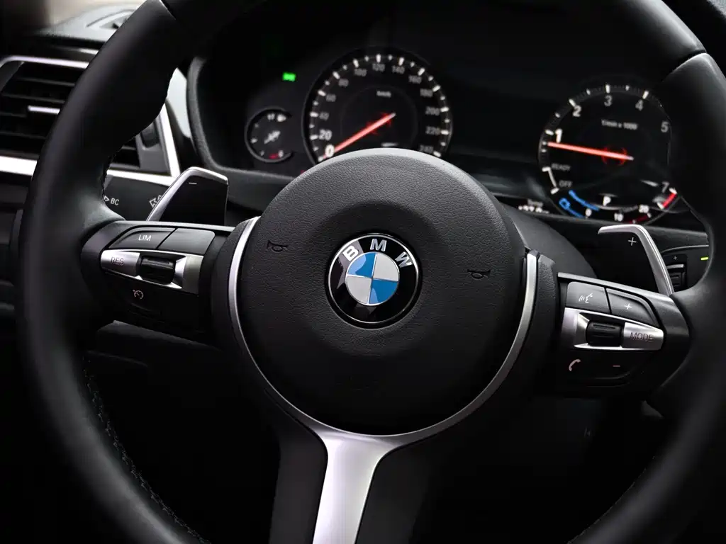 BMW BMW 3 Series 2018 320Li M Sport Package 2018 - thumbnail 28