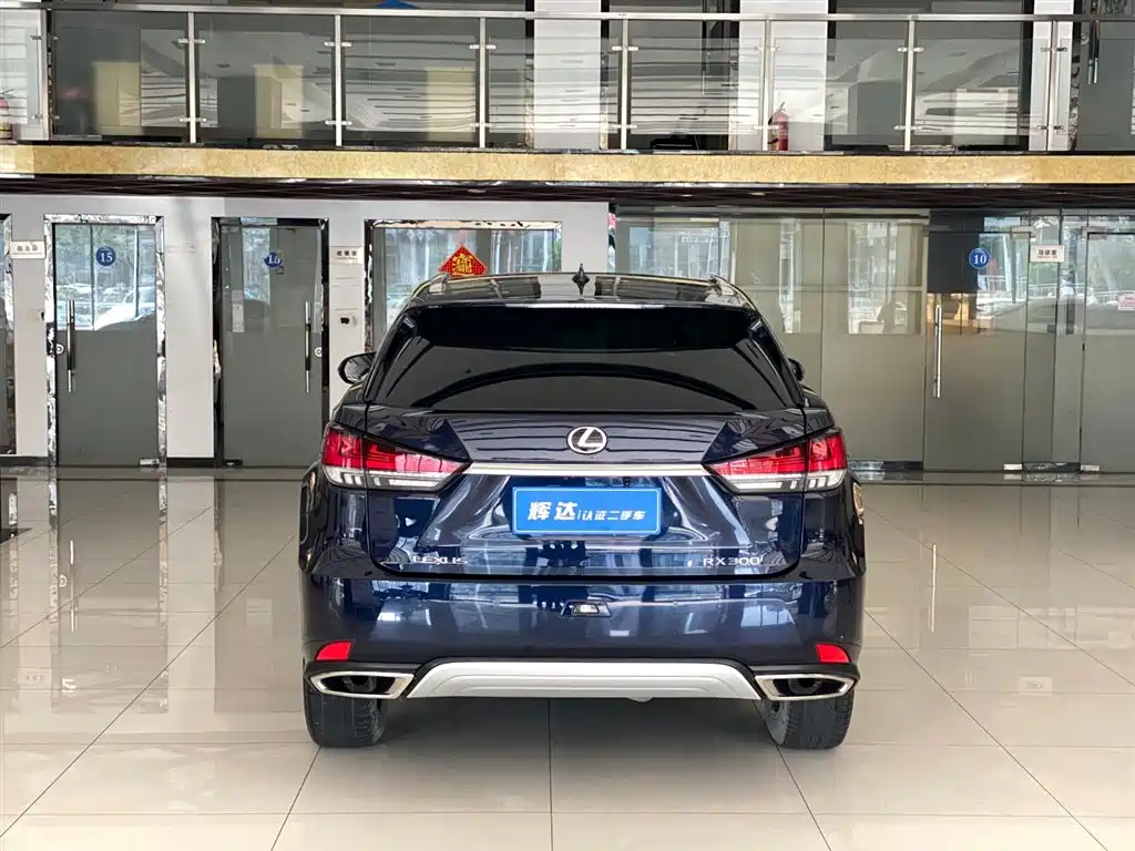 Lexus Lexus RX 300 AWD Elegant Edition 2020 Model Year Facelift 2022 - thumbnail 7