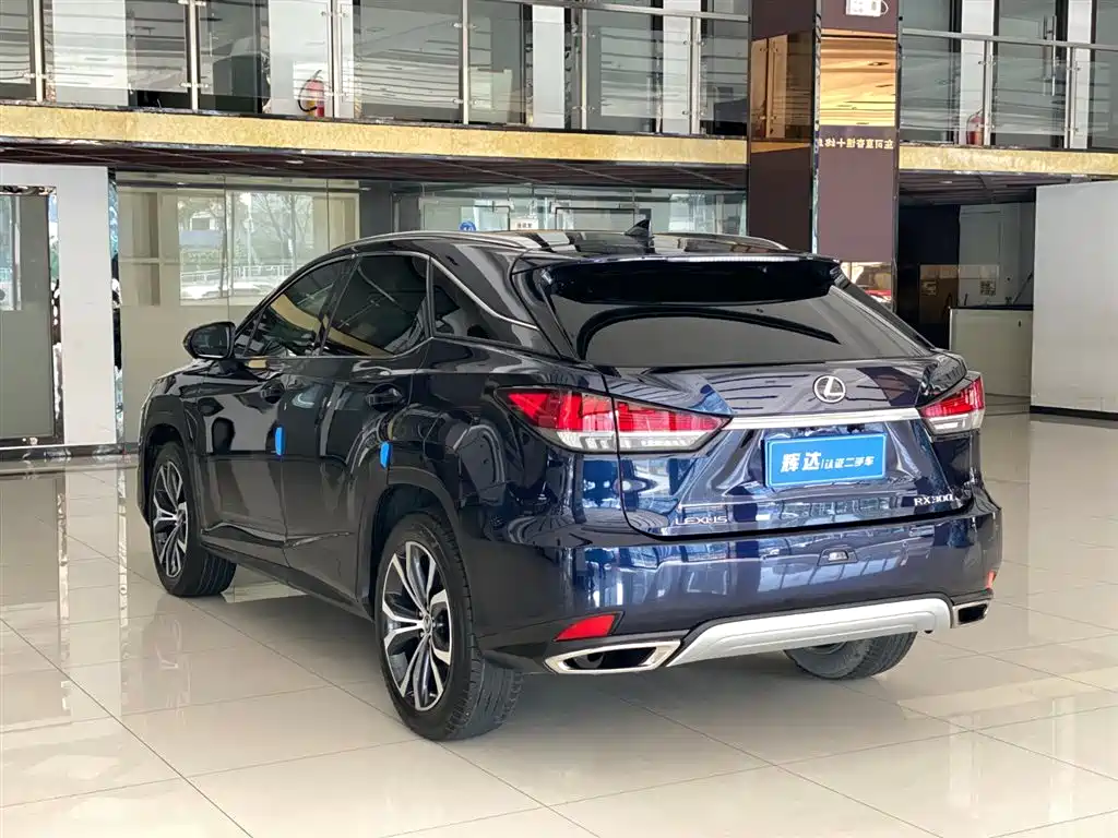 Lexus Lexus RX 300 AWD Elegant Edition 2020 Model Year Facelift 2022 - thumbnail 9