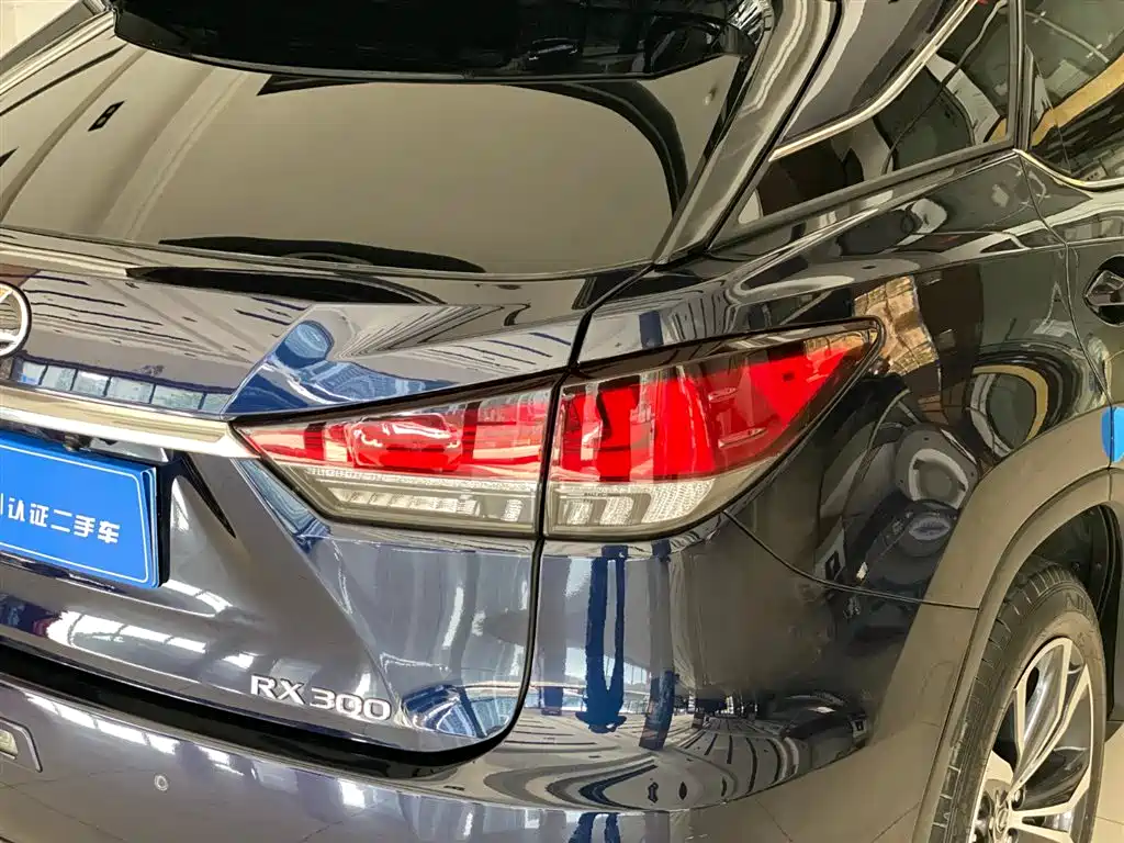 Lexus Lexus RX 300 AWD Elegant Edition 2020 Model Year Facelift 2022 - thumbnail 11
