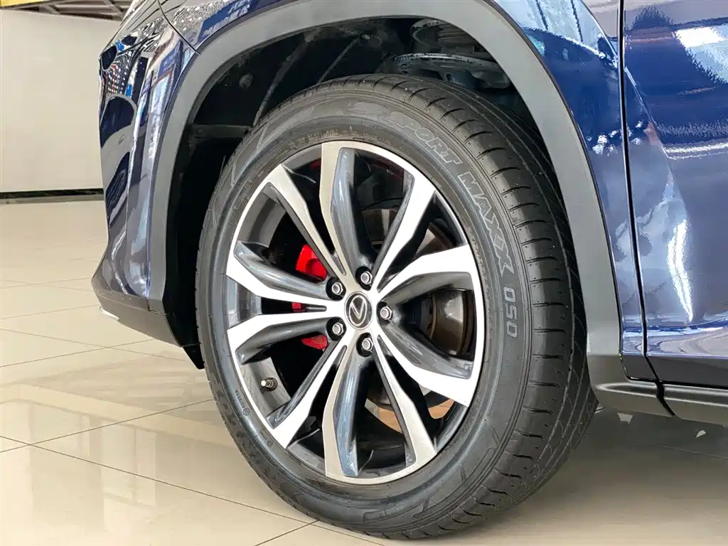 Lexus Lexus RX 300 AWD Elegant Edition 2020 Model Year Facelift 2022 - thumbnail 21
