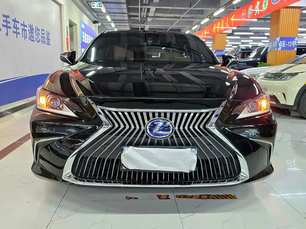 Lexus Lexus ES 300h 2018 Excellence Edition China V 2018 - thumbnail 3