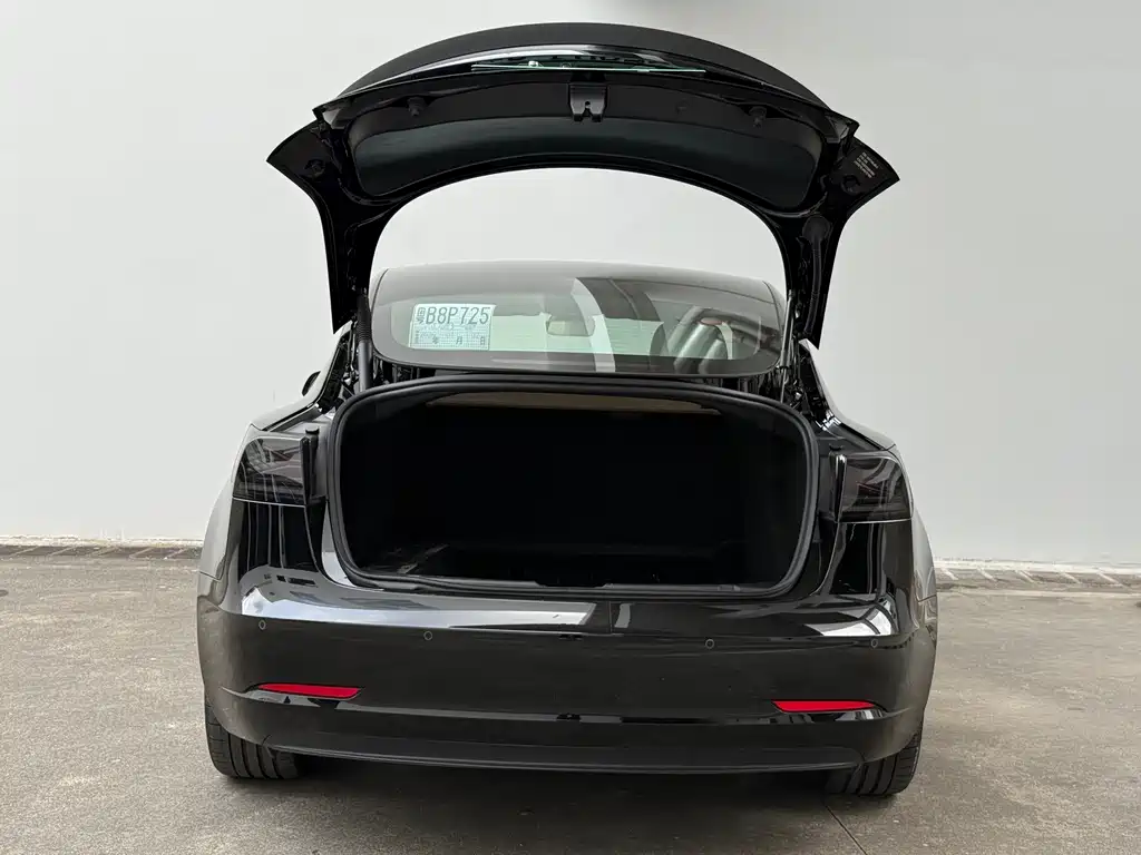 Tesla Model 3 2022 Performance All-Wheel Drive 2022 - thumbnail 11