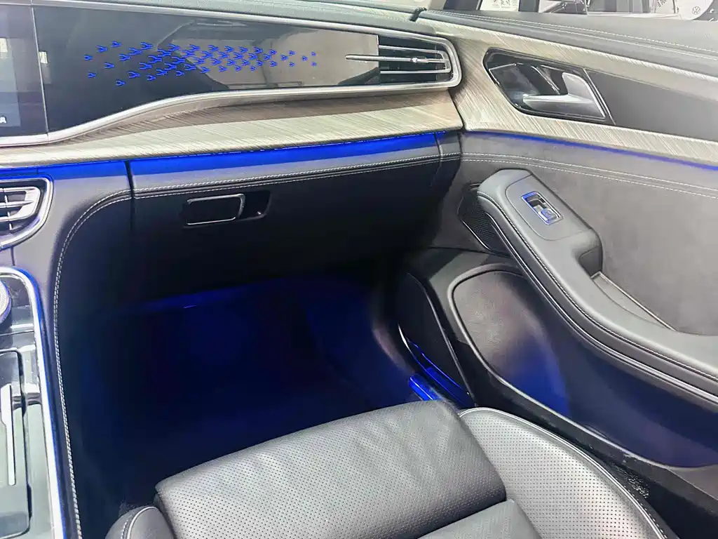 Hongqi Hongqi H9 2022 2.0T Smart Connect Flag Comfort Edition 2022 - thumbnail 12