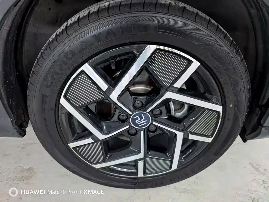 BYD BYD Yuan PLUS 2023 Champion Edition 510KM Excellence Model 2024 - thumbnail 20