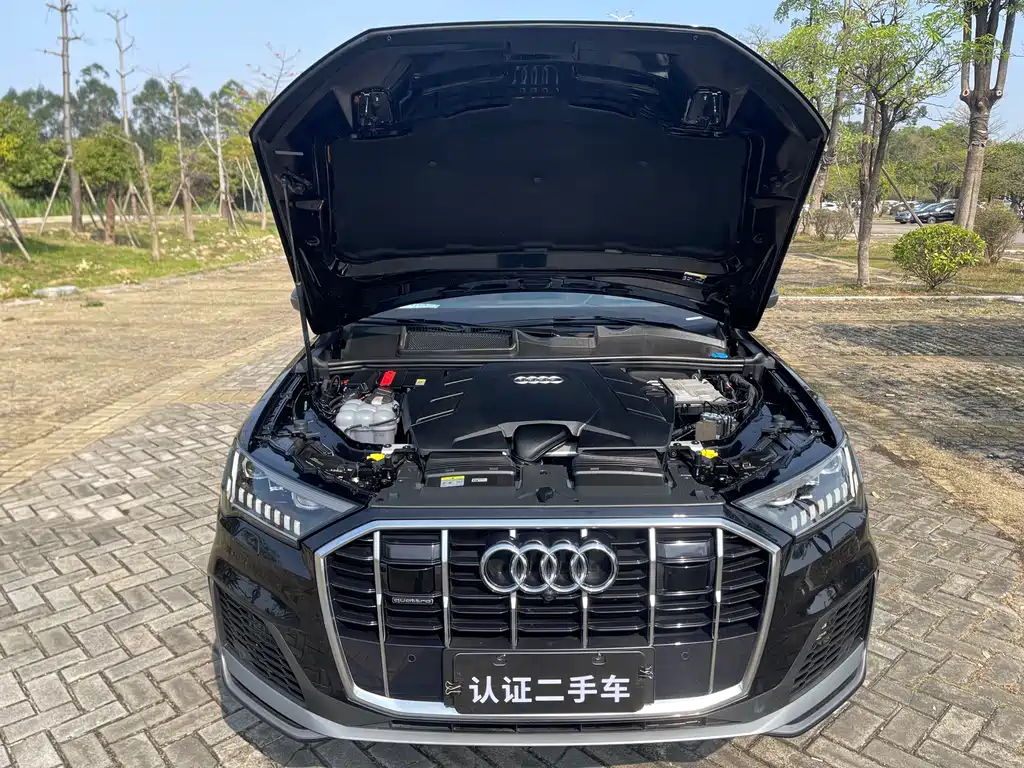 Audi Audi Q7 2021 55 TFSI quattro S line Premium 2021 - thumbnail 20