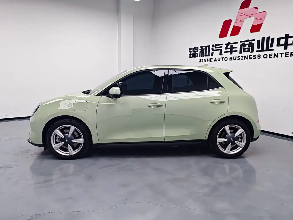 Ora ORA Good Cat 2023 401km Standard Range Luxury Model LFP Battery 2024 - thumbnail 4