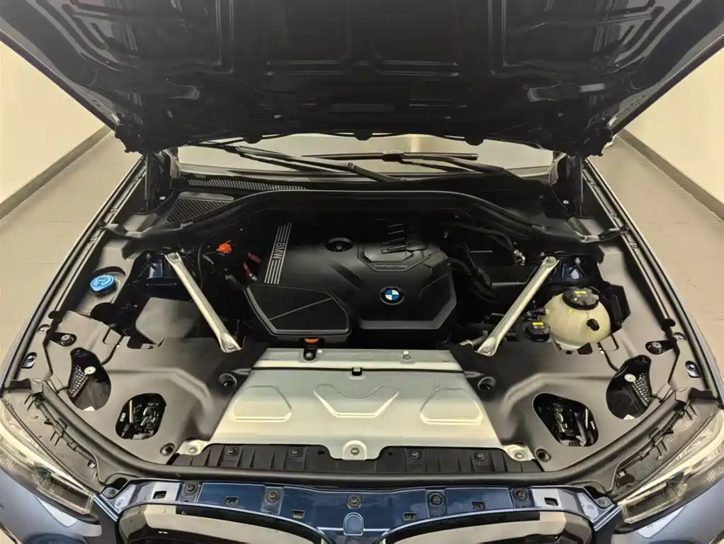 BMW BMW X3 2022 facelift xDrive30i Leading Model M Night Shadow Package 2022 - thumbnail 6