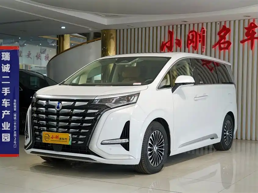 Denza DENZA D9 2024 DM-i 980 AWD Flagship Model 2024