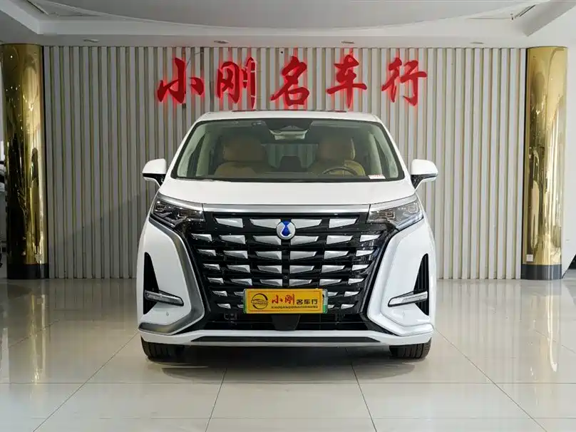 Denza DENZA D9 2024 DM-i 980 AWD Flagship Model 2024 - thumbnail 3