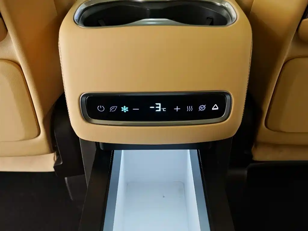 Denza DENZA D9 2024 DM-i 980 AWD Flagship Model 2024 - thumbnail 11