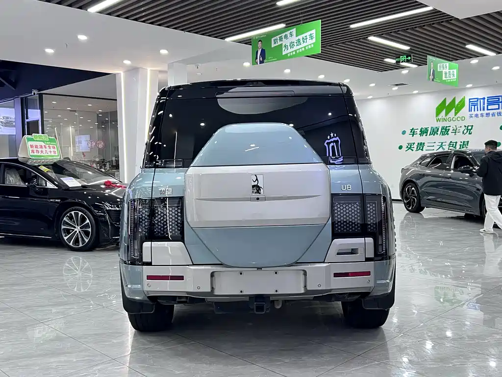 BYD BYD U8 2023 Luxury Edition 2024 - thumbnail 12