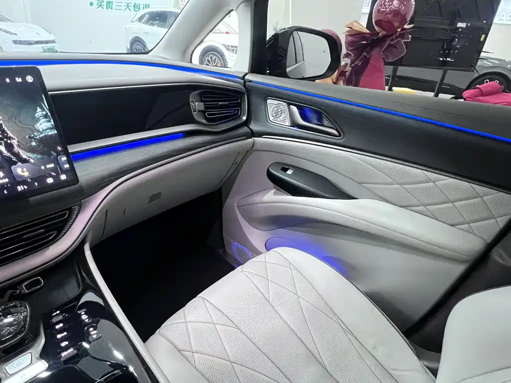 Denza DENZA D9 2022 DM-i 970 AWD Premium Edition 2023 - thumbnail 18