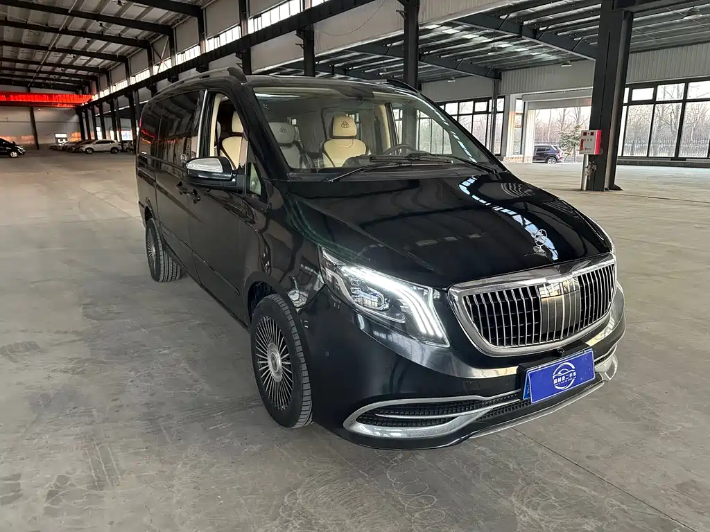Mercedes-Benz Viano 2011 2.5L Luxury Edition 2011 - thumbnail 3