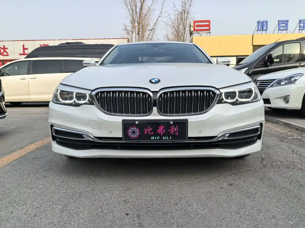 BMW BMW 5 Series 2019 530Li Leading Model Luxury Package 2019 - thumbnail 2