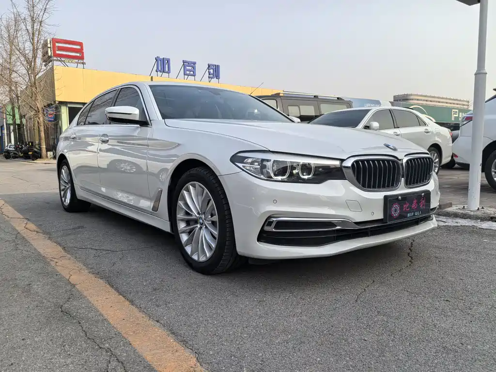 BMW BMW 5 Series 2019 530Li Leading Model Luxury Package 2019 - thumbnail 3