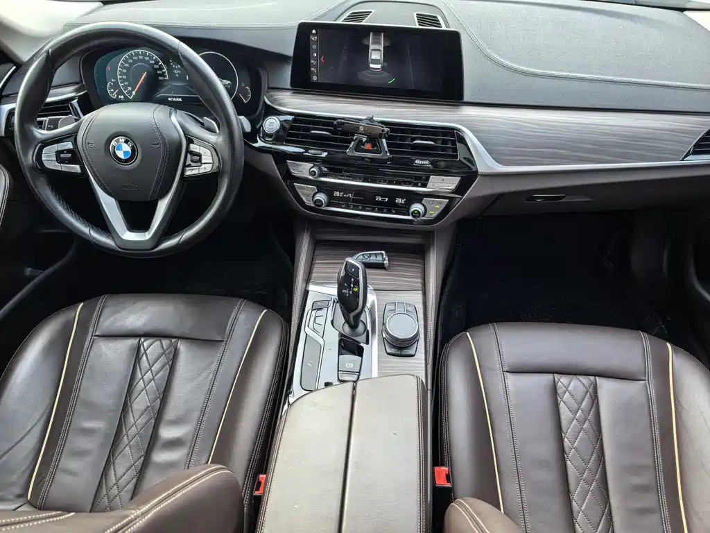 BMW BMW 5 Series 2019 530Li Leading Model Luxury Package 2019 - thumbnail 10