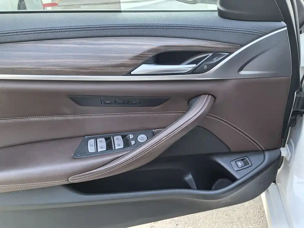 BMW BMW 5 Series 2019 530Li Leading Model Luxury Package 2019 - thumbnail 14