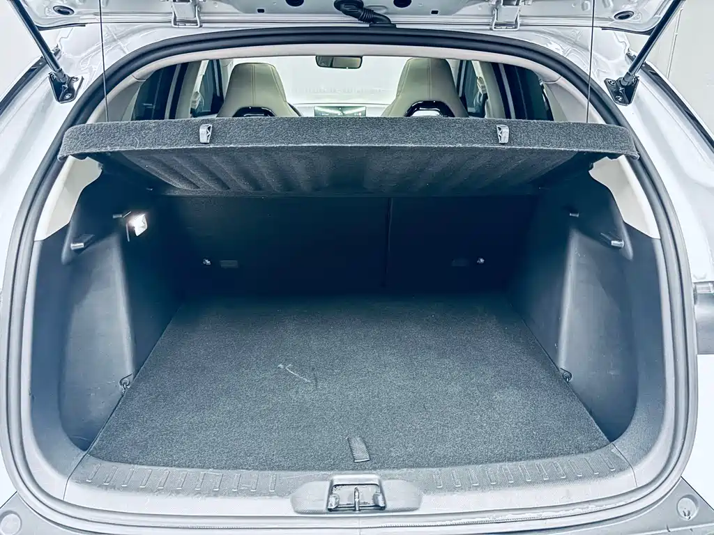 BYD BYD Yuan PLUS 2023 Champion Edition 430KM Advanced Model 2024 - thumbnail 17